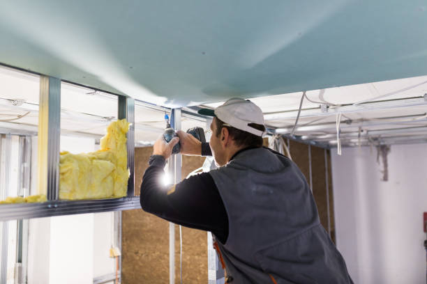 Best Commercial Insulation in Point Roberts, WA